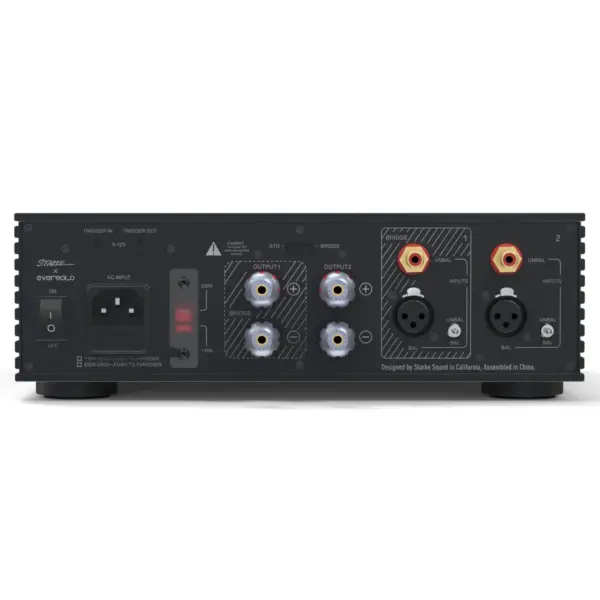 EverSolo AMP-F2 Power Amplifier - Image 4
