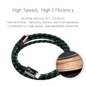 Cayin CS-30TCR Type C to RCA Coaxial Cable
