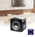 Martin Logan Abyss 10 Subwoofer