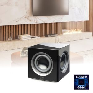 Martin Logan Abyss 10 Subwoofer