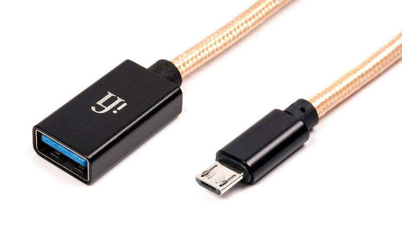 iFi Audio USB-C OTG cable
