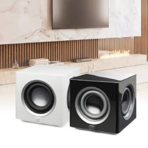 Martin Logan Abyss 8 Subwoofer