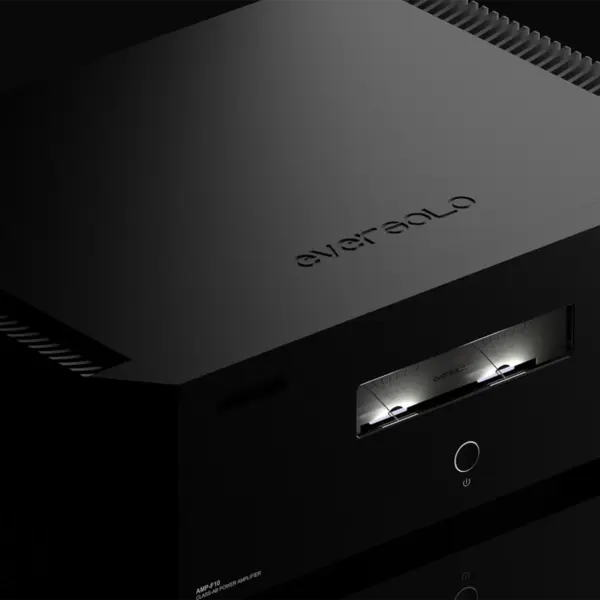 EverSolo AMP-F10 Power Amplifier - Image 3