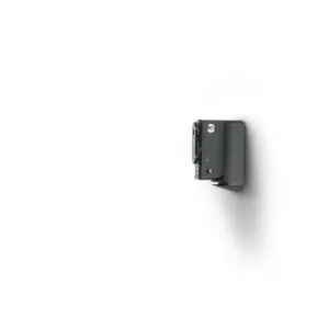 Bluesound WM100 PULSE FLEX Wall Mount Bracket