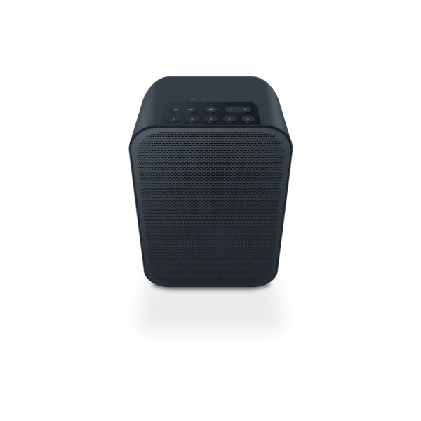 Bluesound PULSE FLEX 2i