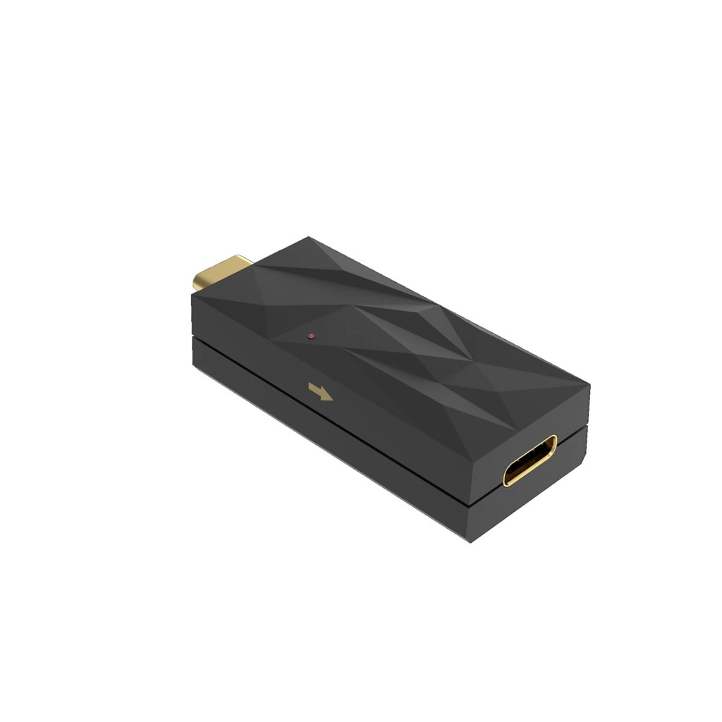 iFi LAN iSilencer - LAN signaal ruisfilter - verwijder elektrische ruis - Ethernet Isolator voor Hi-Res Audio Systemen (RJ45